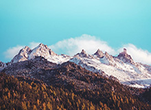 乐鱼中国：让海洋娱乐走进日常生活的创新平台